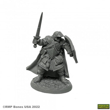 Reaper Miniatures: Dungeon Dwellers: Baran Blacktree Veteran Warrior