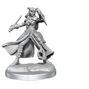 D&D Frameworks Tiefling Rogue Female