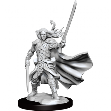 D&D Frameworks Elf Ranger Male