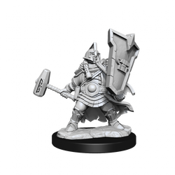 D&D Frameworks Dwarf Cleric Female