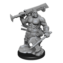 D&D Frameworks Orc Barbarian Male