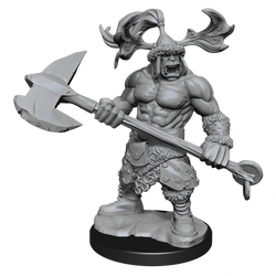 D&D Frameworks Orc Barbarian Male