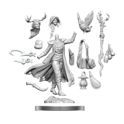 D&D Frameworks Human Druid Female