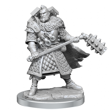 D&D Frameworks Human Fighter Male