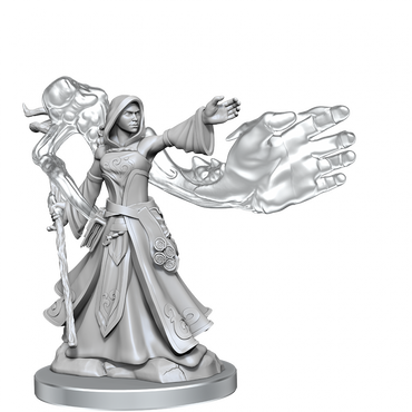 D&D Frameworks Elf Wizard Female