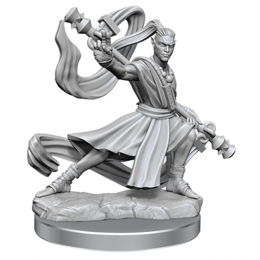 D&D Frameworks Elf Monk Male
