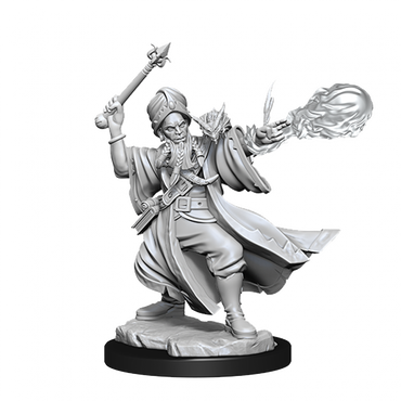 D&D Frameworks Human Wizard Male