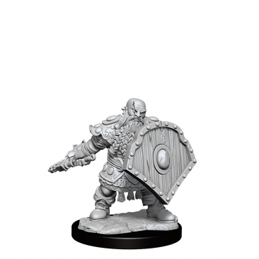 D&D Frameworks Dwarf Fighter Male