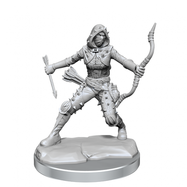 D&D Frameworks Human Rogue Female