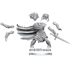 D&D Frameworks Wight