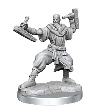 D&D Frameworks Human Monk Male