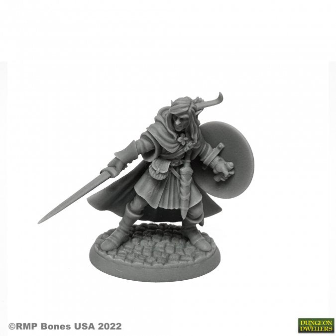 Reaper: Dungeon Dwellers: Mellonir Windrunner Elf Warrior