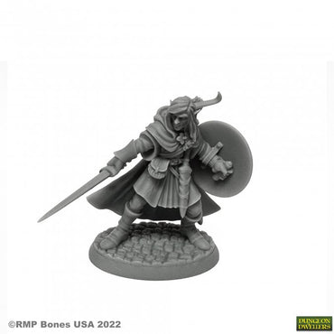 Reaper: Dungeon Dwellers: Mellonir Windrunner Elf Warrior