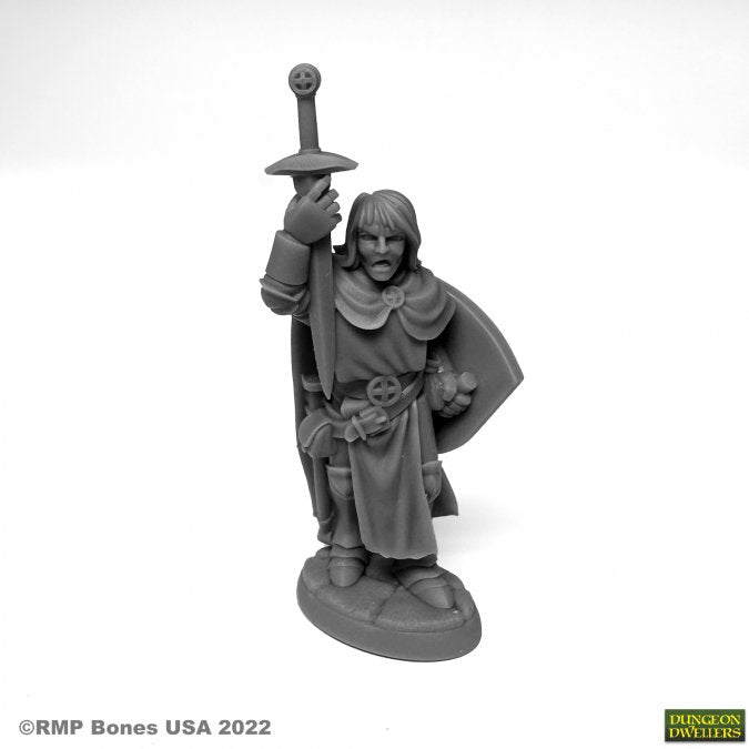 Reaper: Dungeon Dwellers: Sir Danarel the Holy