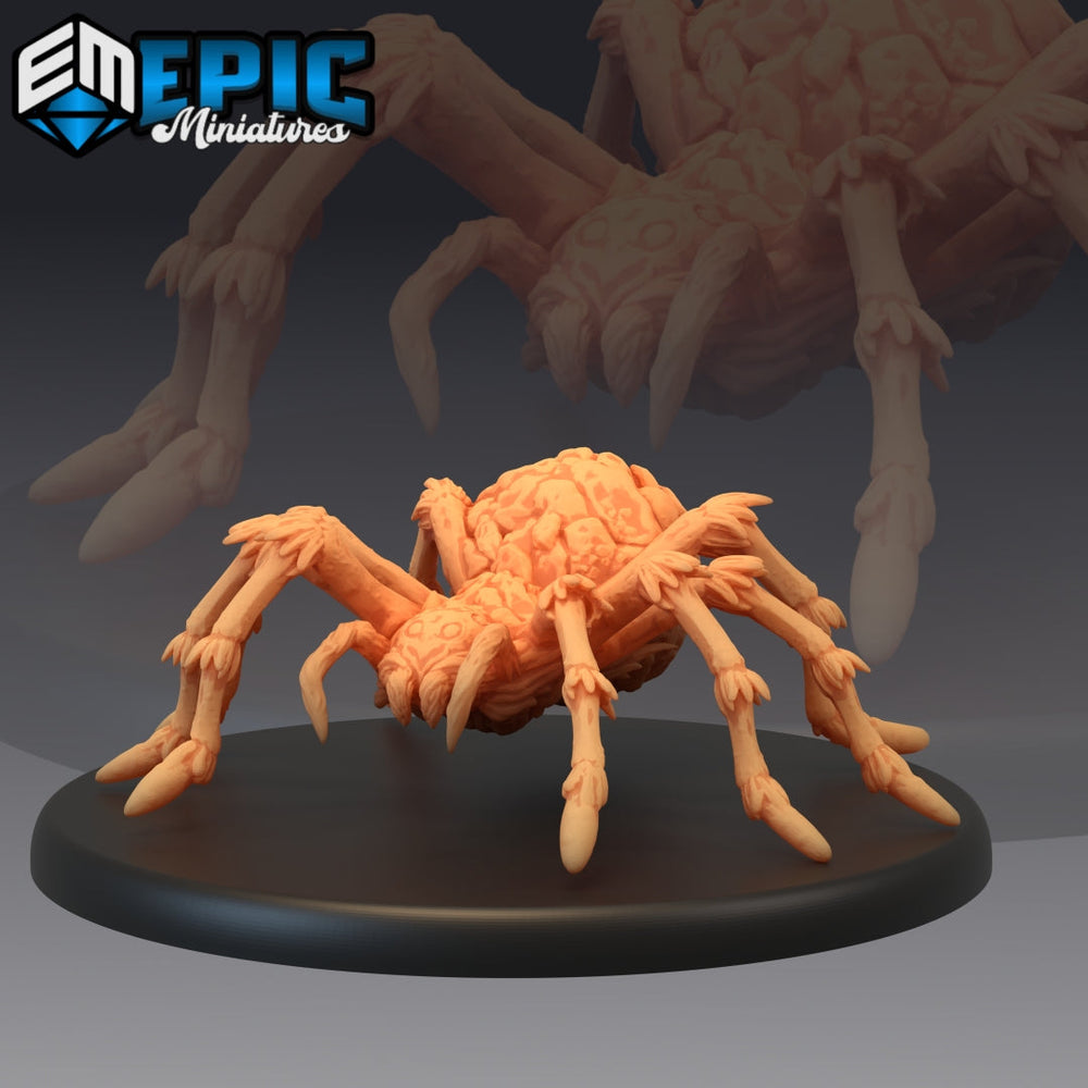 Pluto Minis: Spider - Huge (1084)