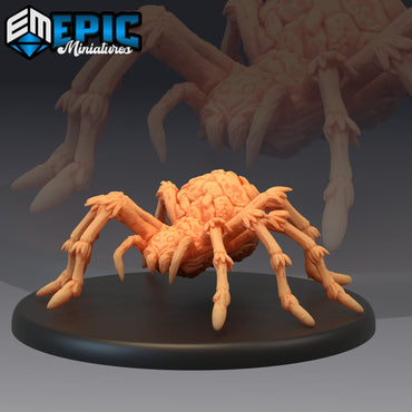 Pluto Minis: Spider - Huge (1084)