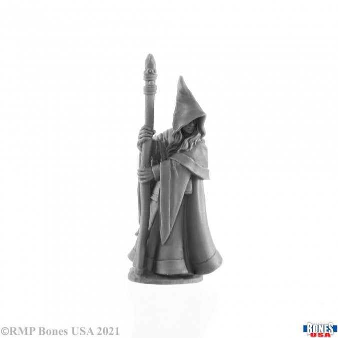 Reaper: Legends: Anirion Elf Wizard
