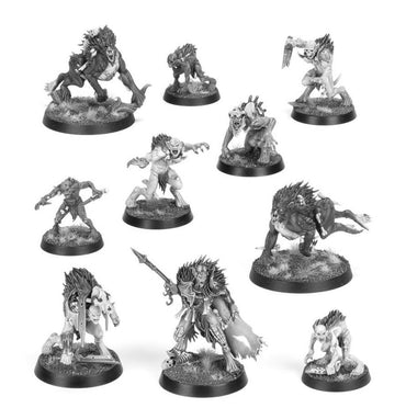 Warhammer Warcry: Royal Beastflayers
