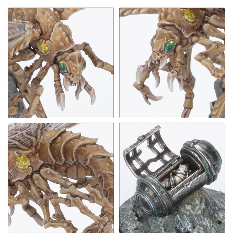 Necromunda: Ash Waste Nomads Ashwing Helamites