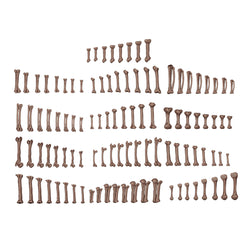 Ak-Interactive: Basing Bits Human Bones (104)