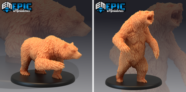Pluto Minis: Bears - Set A