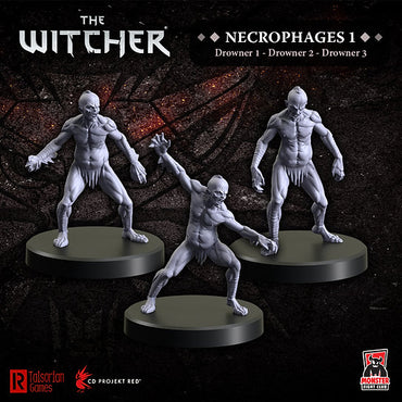 The Witcher: Necrophages 1: Drowners
