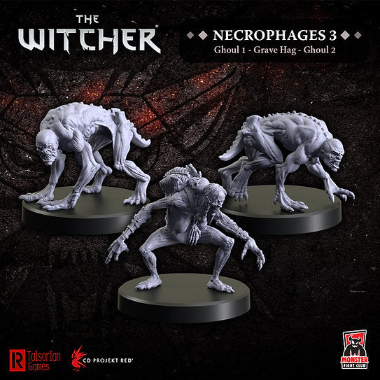 The Witcher: Necrophages 3: Grave Hag