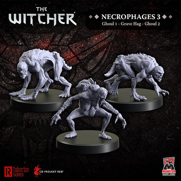 The Witcher: Necrophages 3: Grave Hag