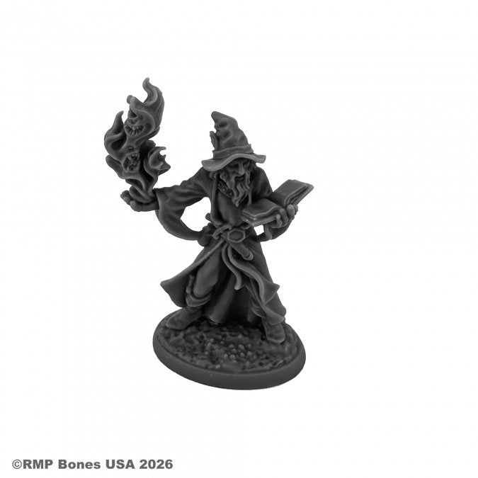 Reaper Bones: Dungeon Dwellers Domur