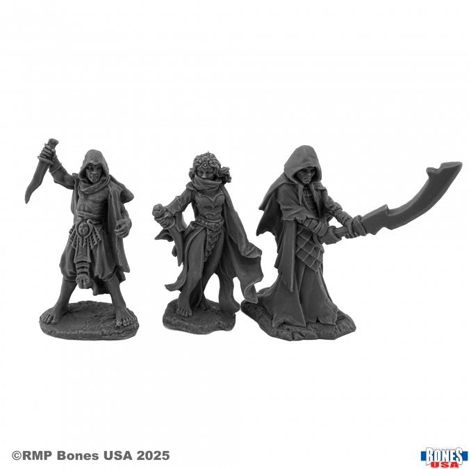 Reaper Bones: Dungeon Dwellers Cultist Minions