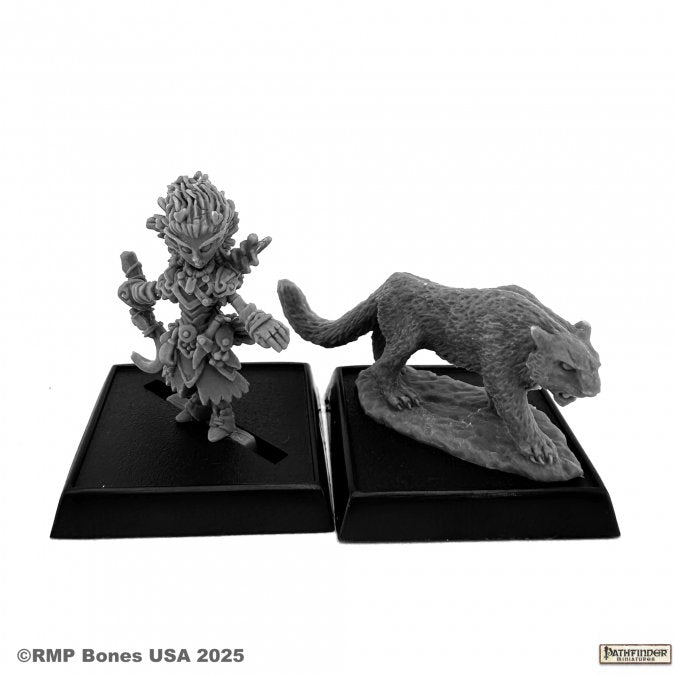 Reaper Miniatures: Pathfinder Bones USA: Lini and Droogami Iconic Gnome Druid