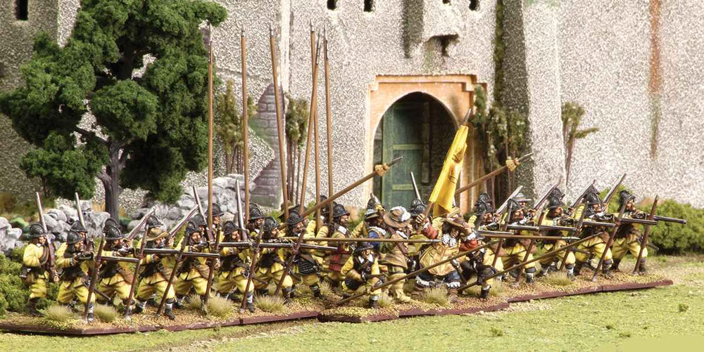 Pike & Shotte: Thirty Years War: Swedish Infantry