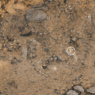 Modifx: Battlemat - Wasteland