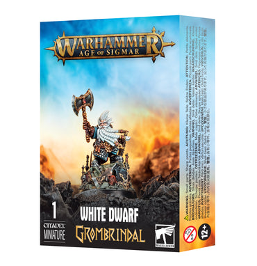 Warhammer Age of Sigmar: Grombrindal the White Dwarf