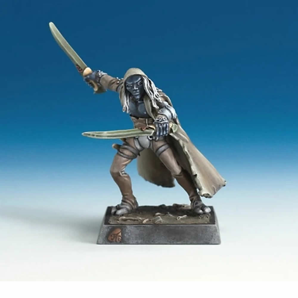 Reaper: Dungeon Dwellers: Tharnyx Shadeborn Elf Rogue