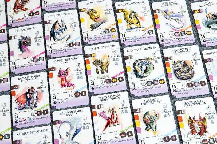 Wyrmspan: Dragon Academy