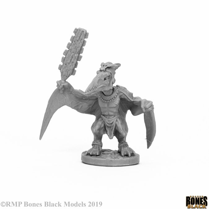 Reaper Bones Black: Skywing Stormcaller