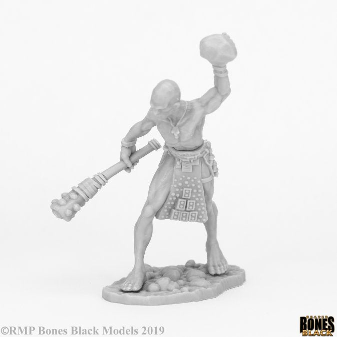 Reaper Bones Black: Stone Giant Guard