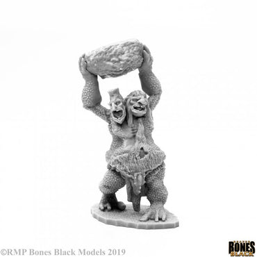 Reaper Bones Black: Two Headed Troll