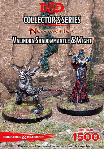 D&D Collectors Series Miniatures Neverwinter Valindra Shadowmantle & Wight (2 Figs)