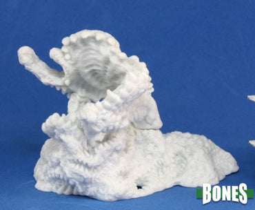 Reaper Bones: Faceless Horror