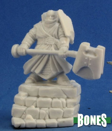 Reaper Bones: Male Thunderknight