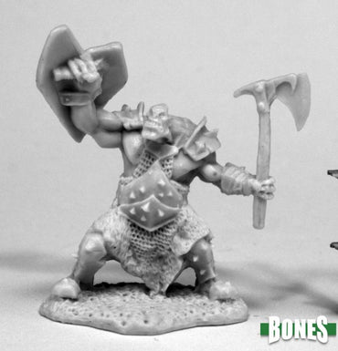 Reaper Bones: Orc Slayer (Axe & Shield)