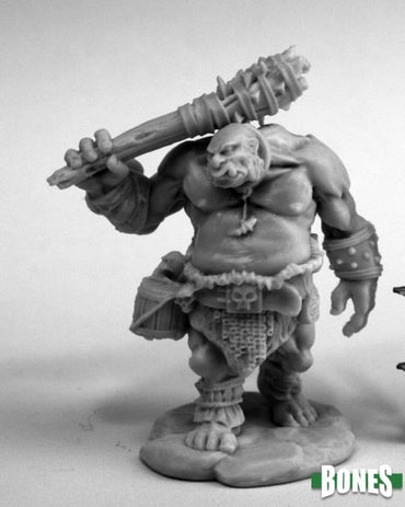 Reaper Bones: Ogre Guard