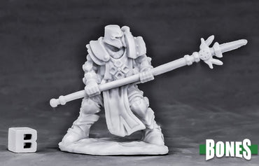 Reaper Bones: Crusader Defender