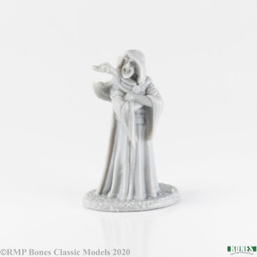 Reaper Bones: Zenfis Zadar Wizard