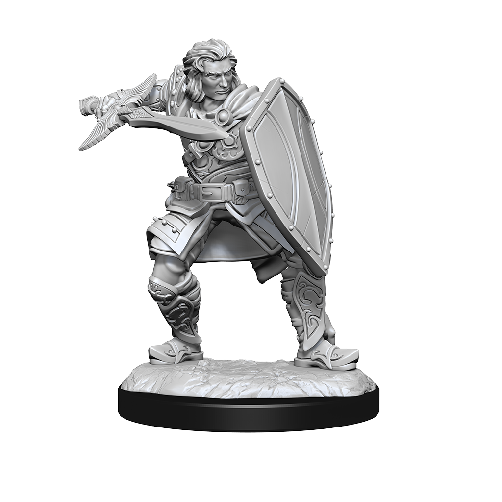 D&D Nolzurs Marvelous Unpainted Miniatures Human Paladin Male