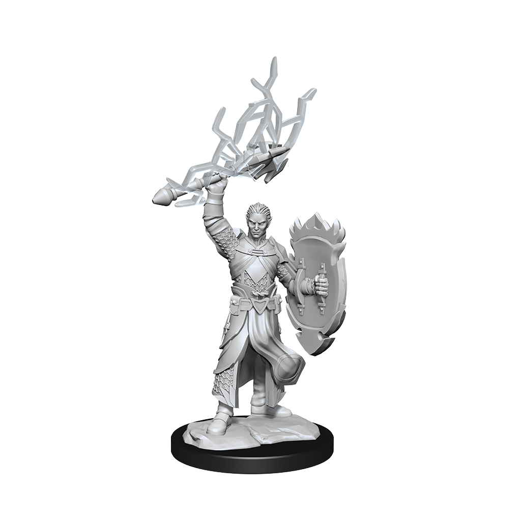 D&D Nolzurs Marvelous Unpainted Miniatures Half-Elf Paladin Male