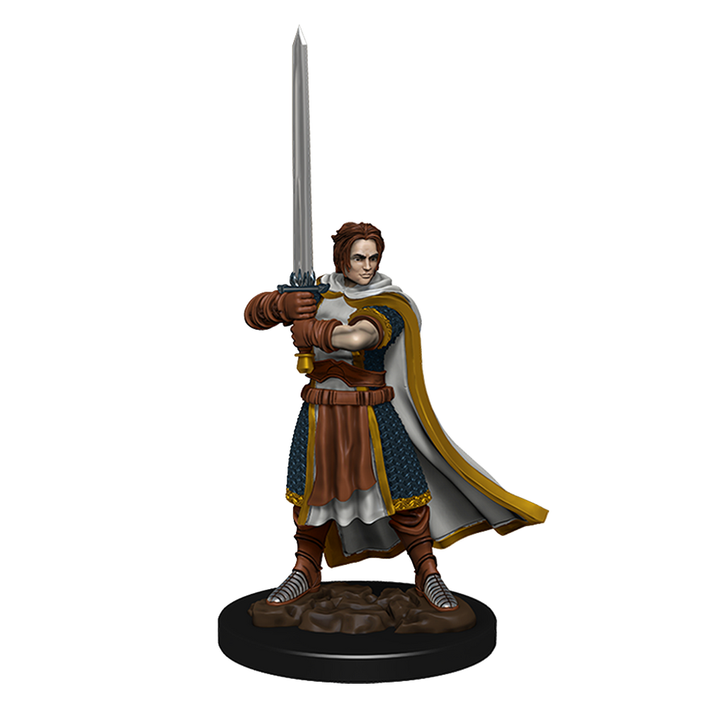 D&D Premium Painted Figures Human Cleric Male