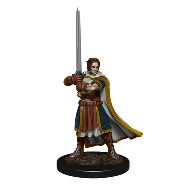 D&D Premium Painted Figures Human Cleric Male